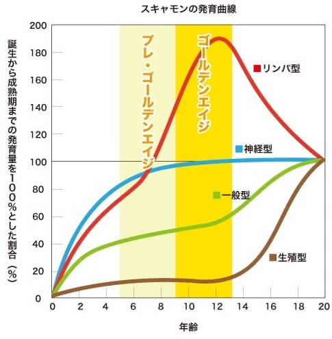 スキャモンの発育曲線