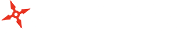 忍者ナイン