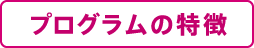 プログラムの特徴